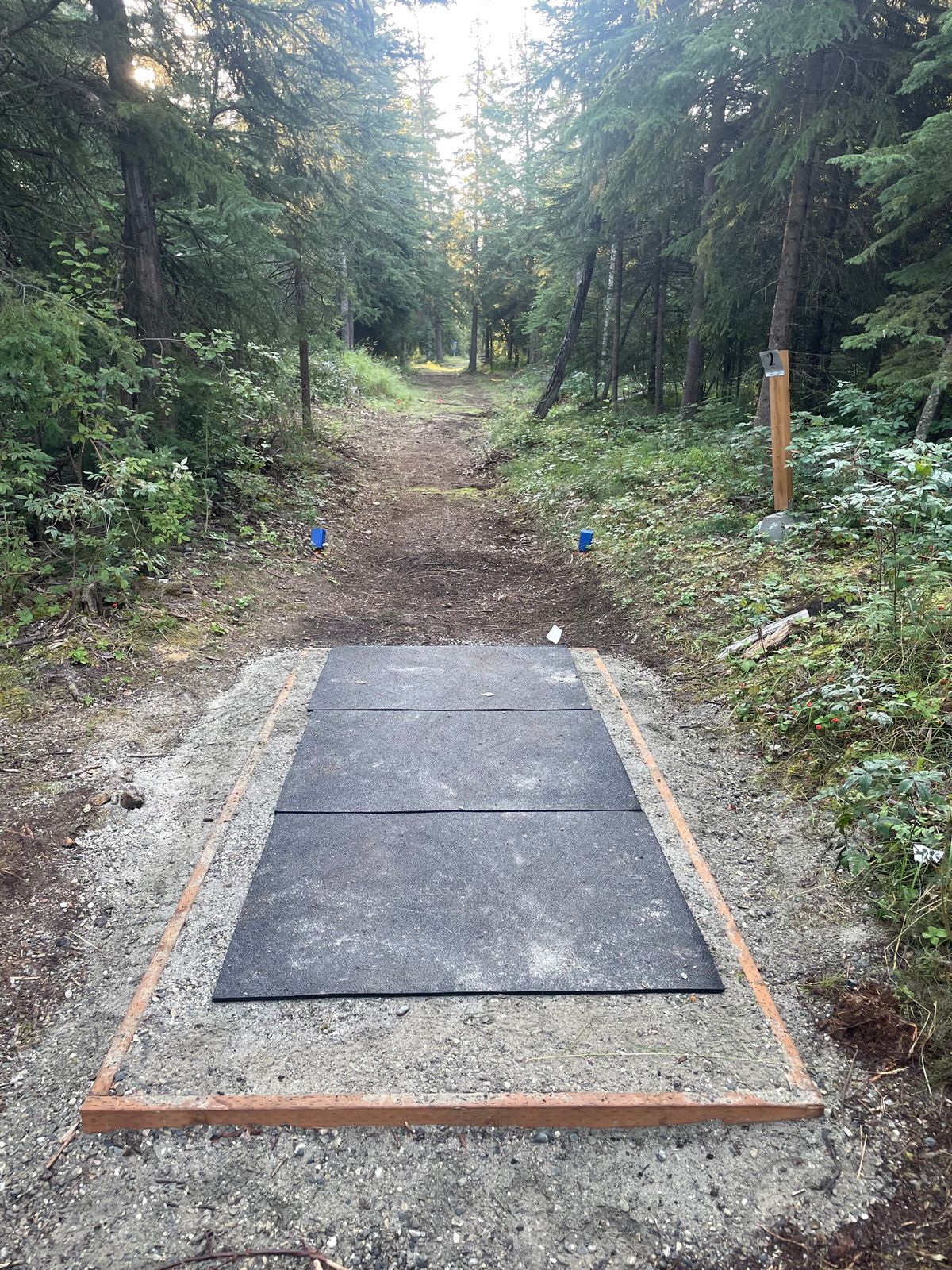 Hole 2 Tee Pad