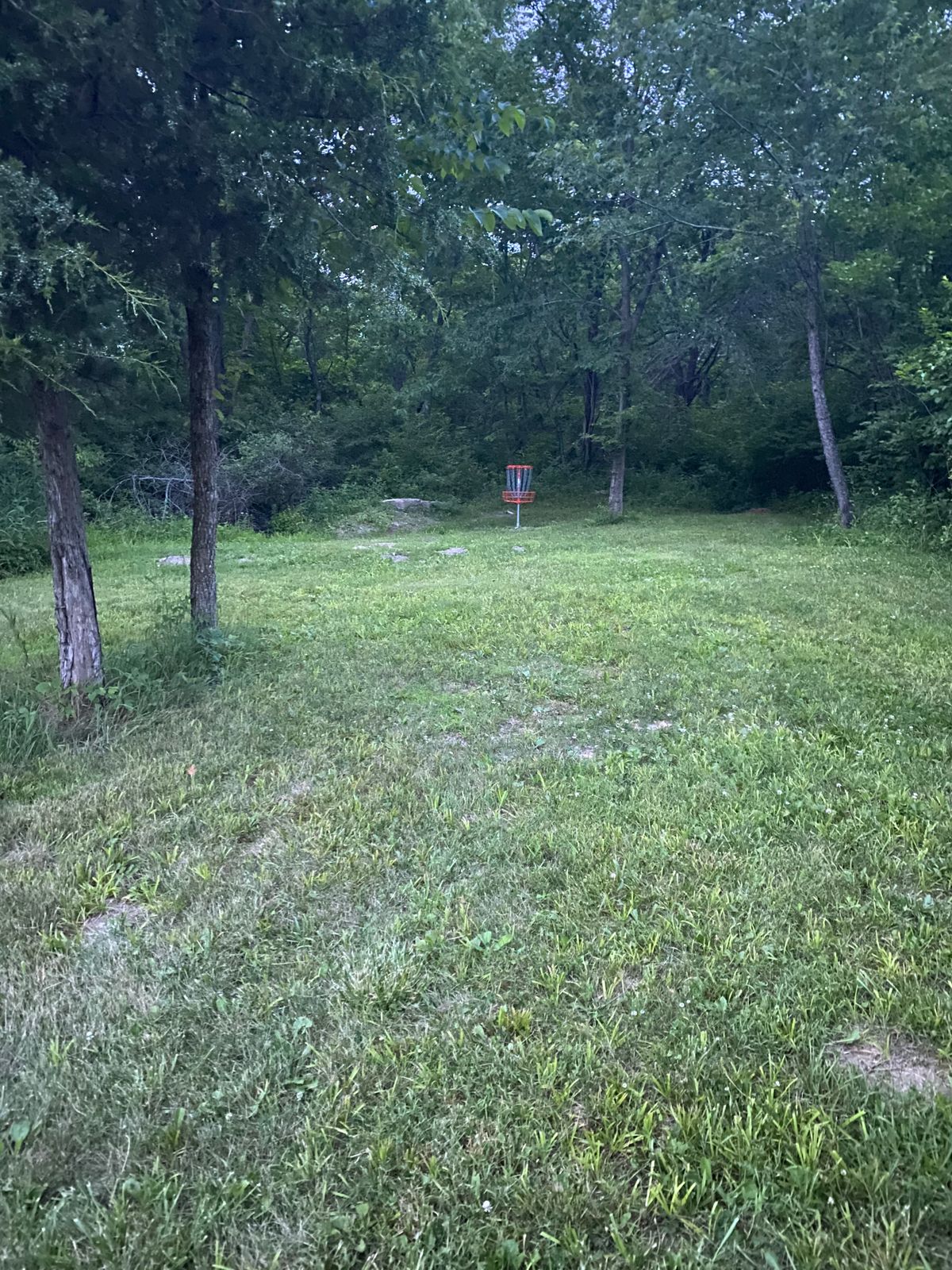 Hole 18 basket