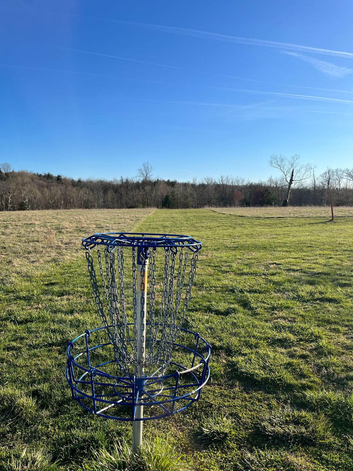 Basket