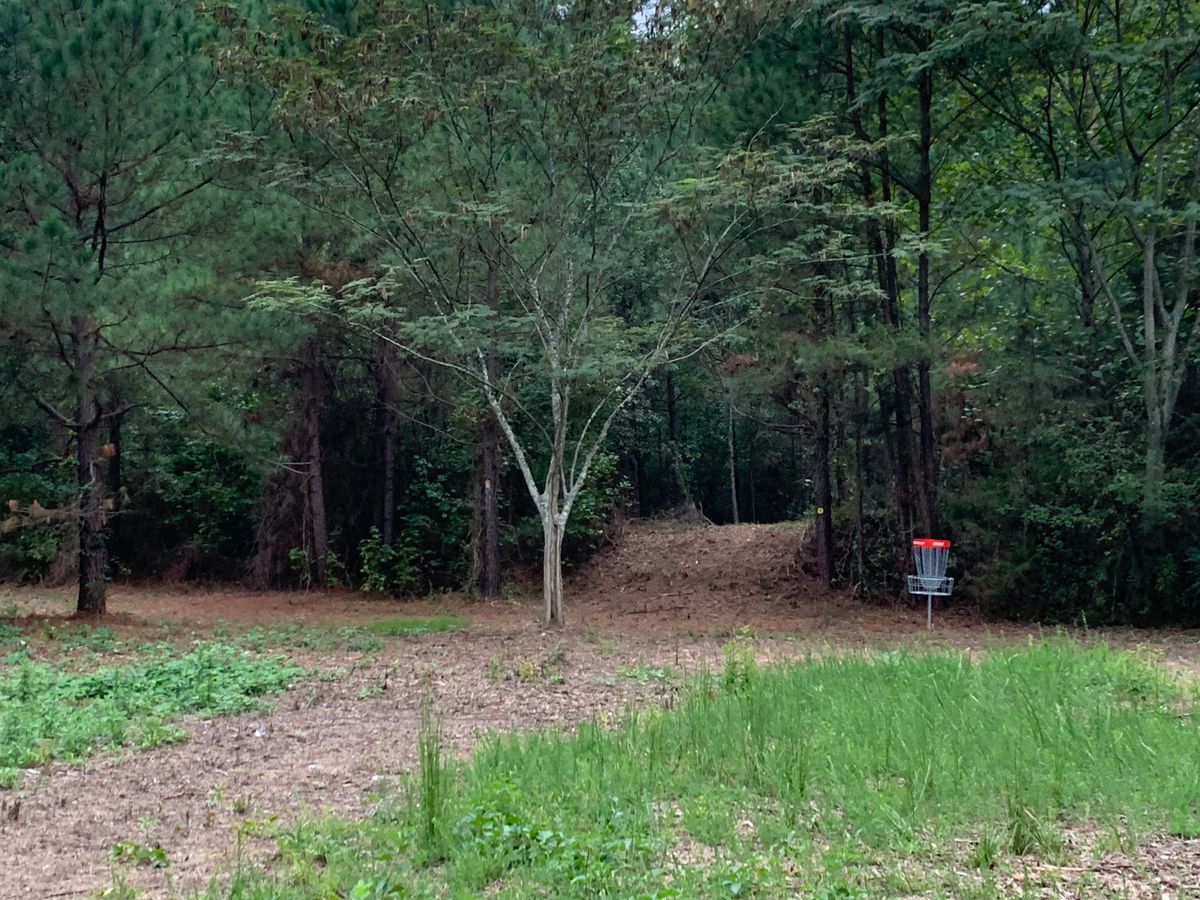 Hole 5 basket from fairway of 3