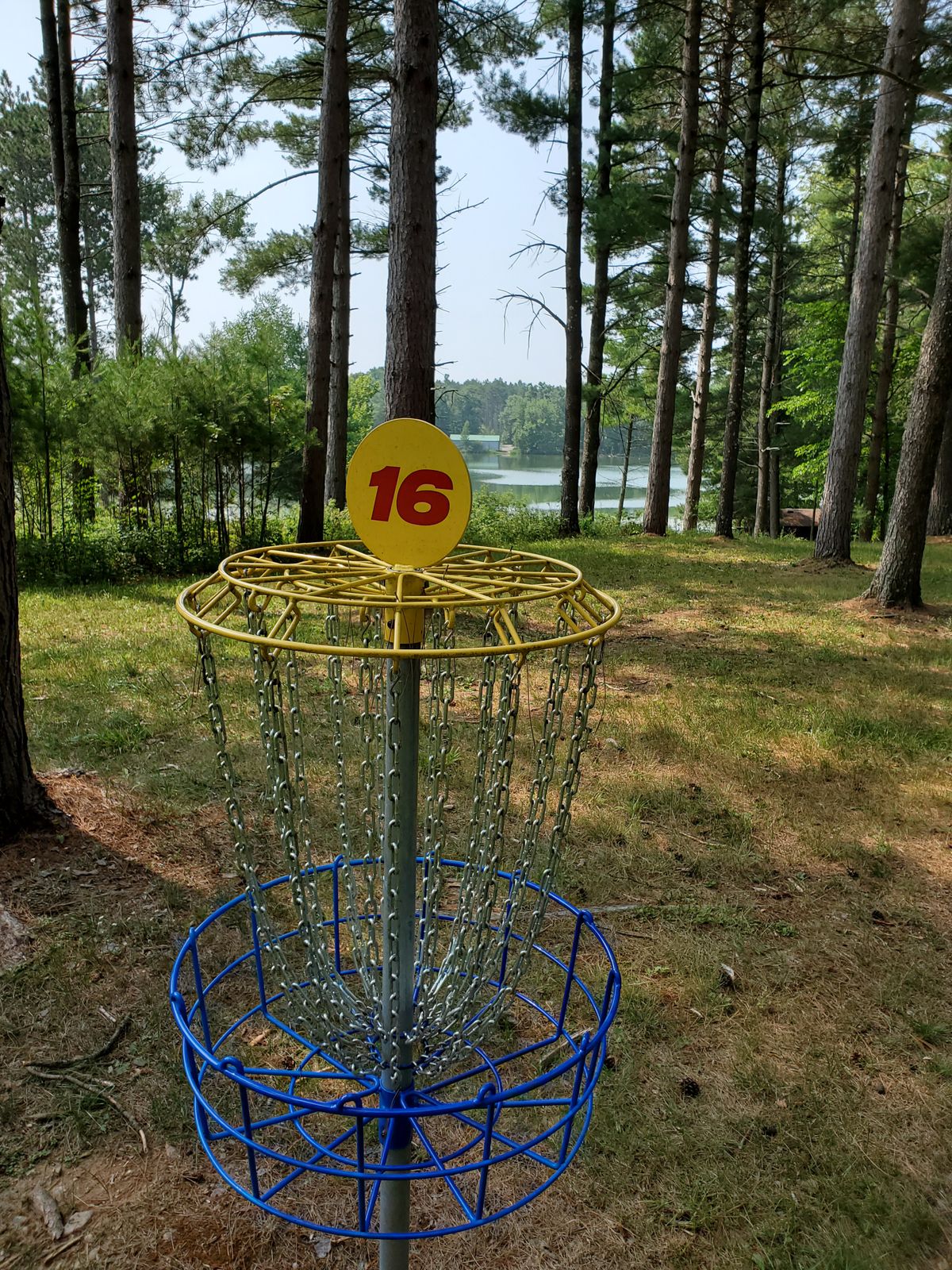 Basket 16