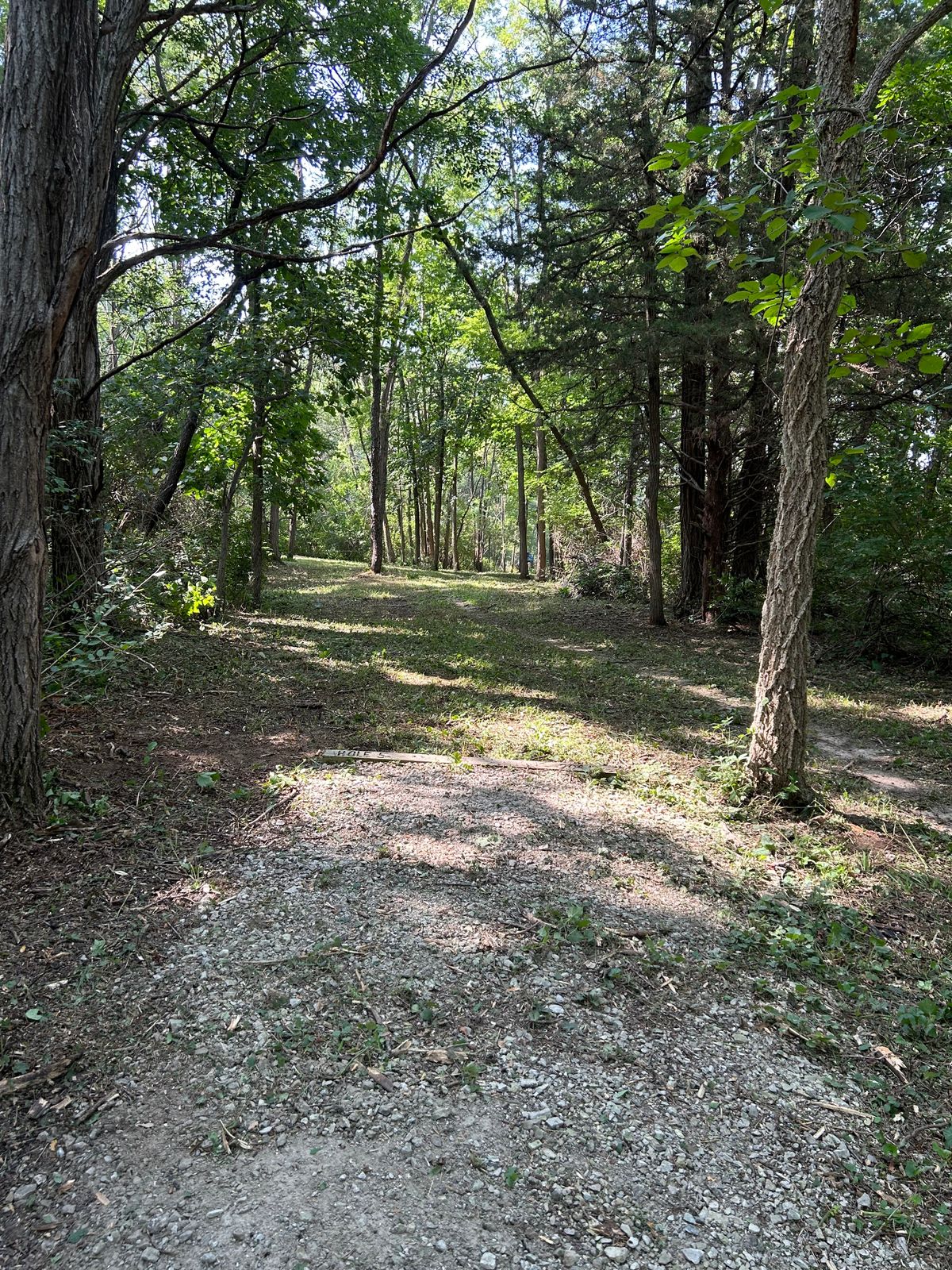 Hole 5 tee