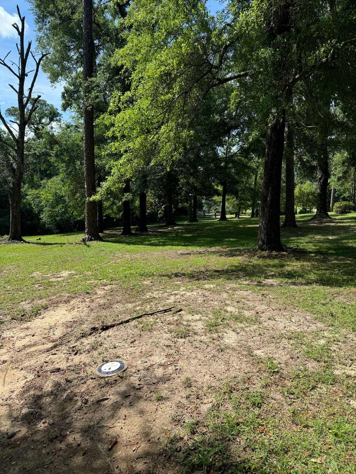 Hole 7