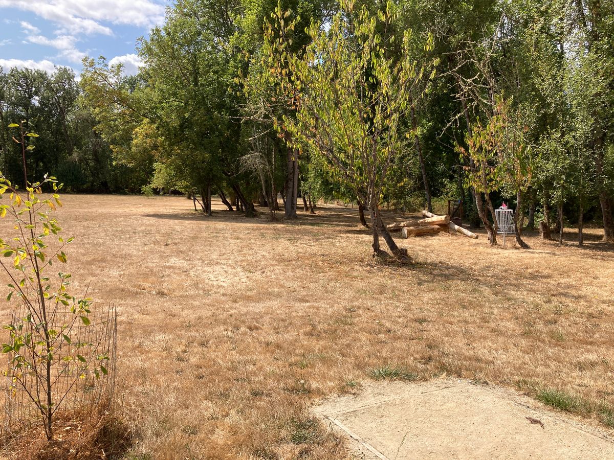 Tee 13