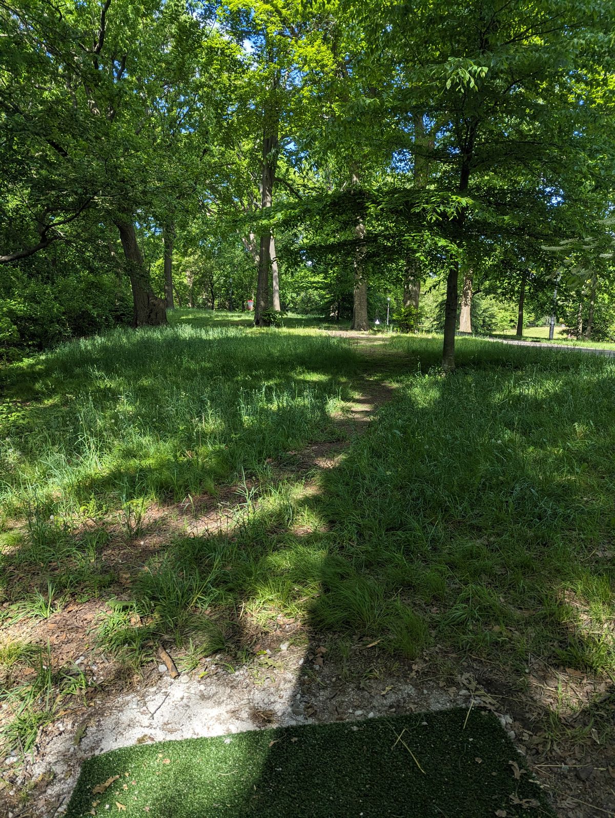 Hole 6