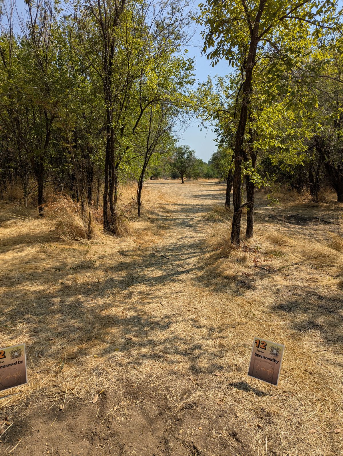Hole 12