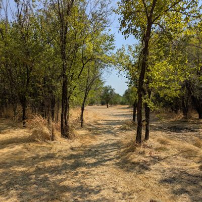 Hole 12