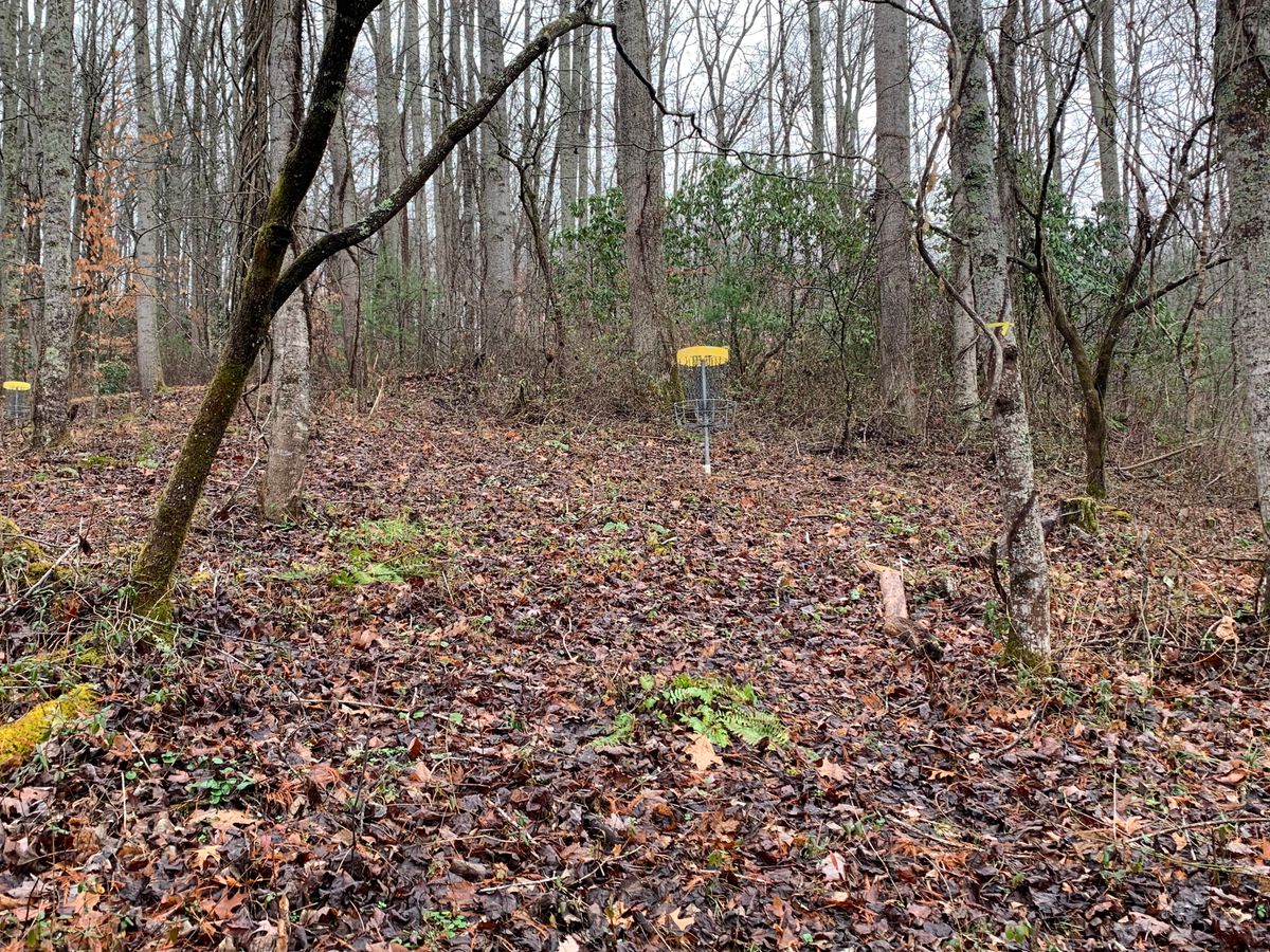 Hole number 4.