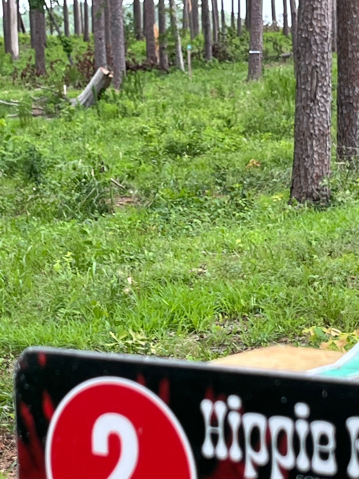 Mando from the tee.