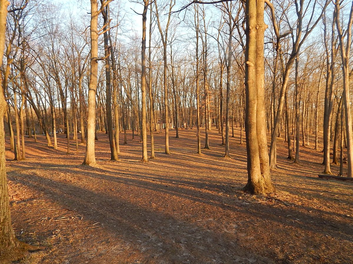 Hole 18 fairway, basket slightly uphill in the center of tiered railroad tie foundation