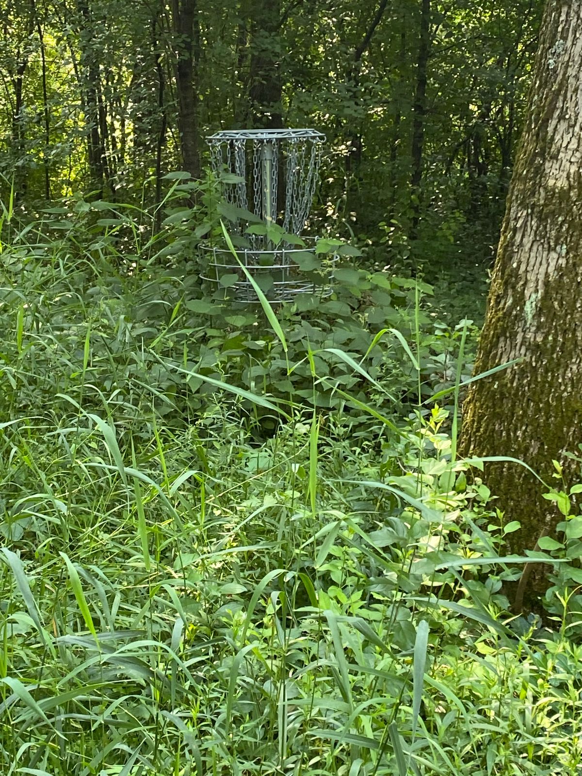 Tough rough the whole way bring a friend and a weed whacked and wear pants