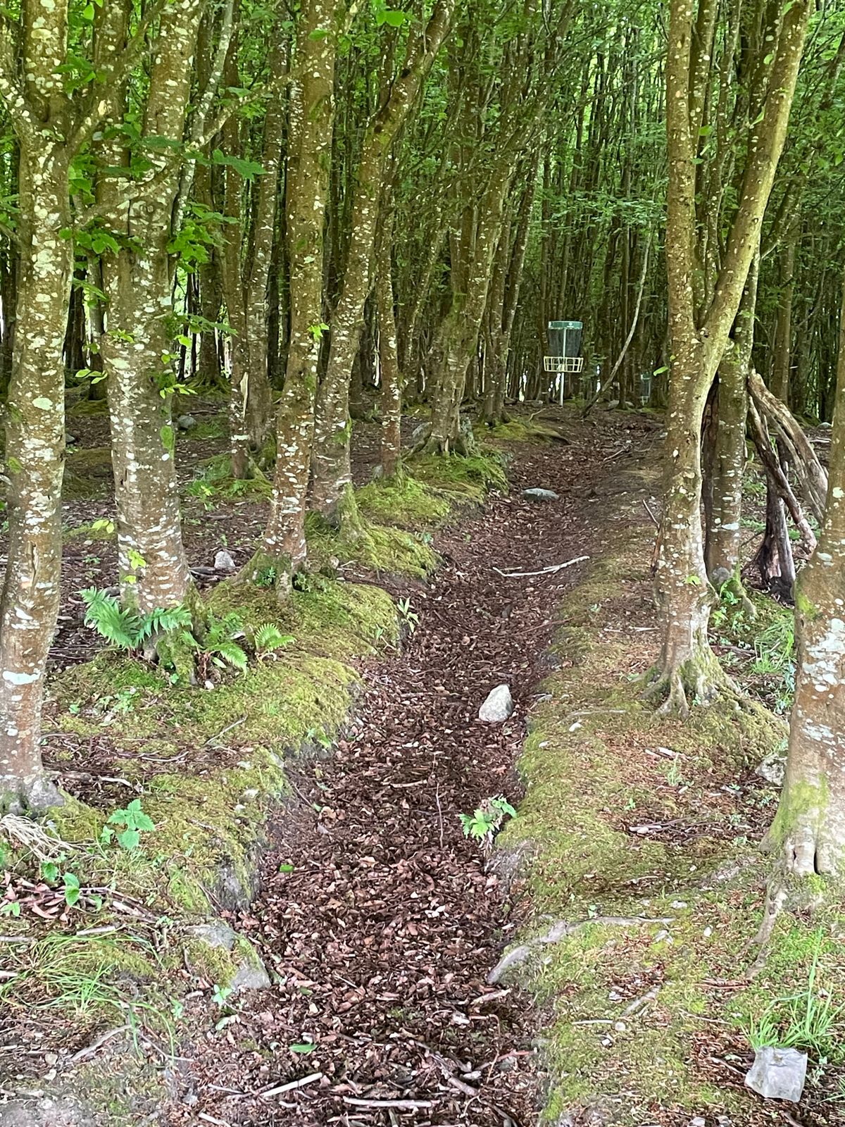 Hole 12