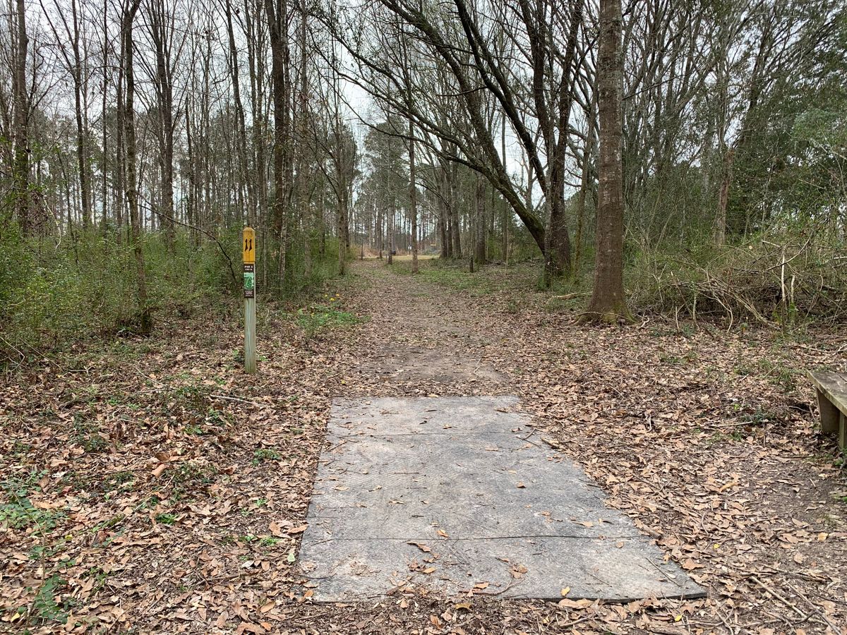 Hole 11 Fairway