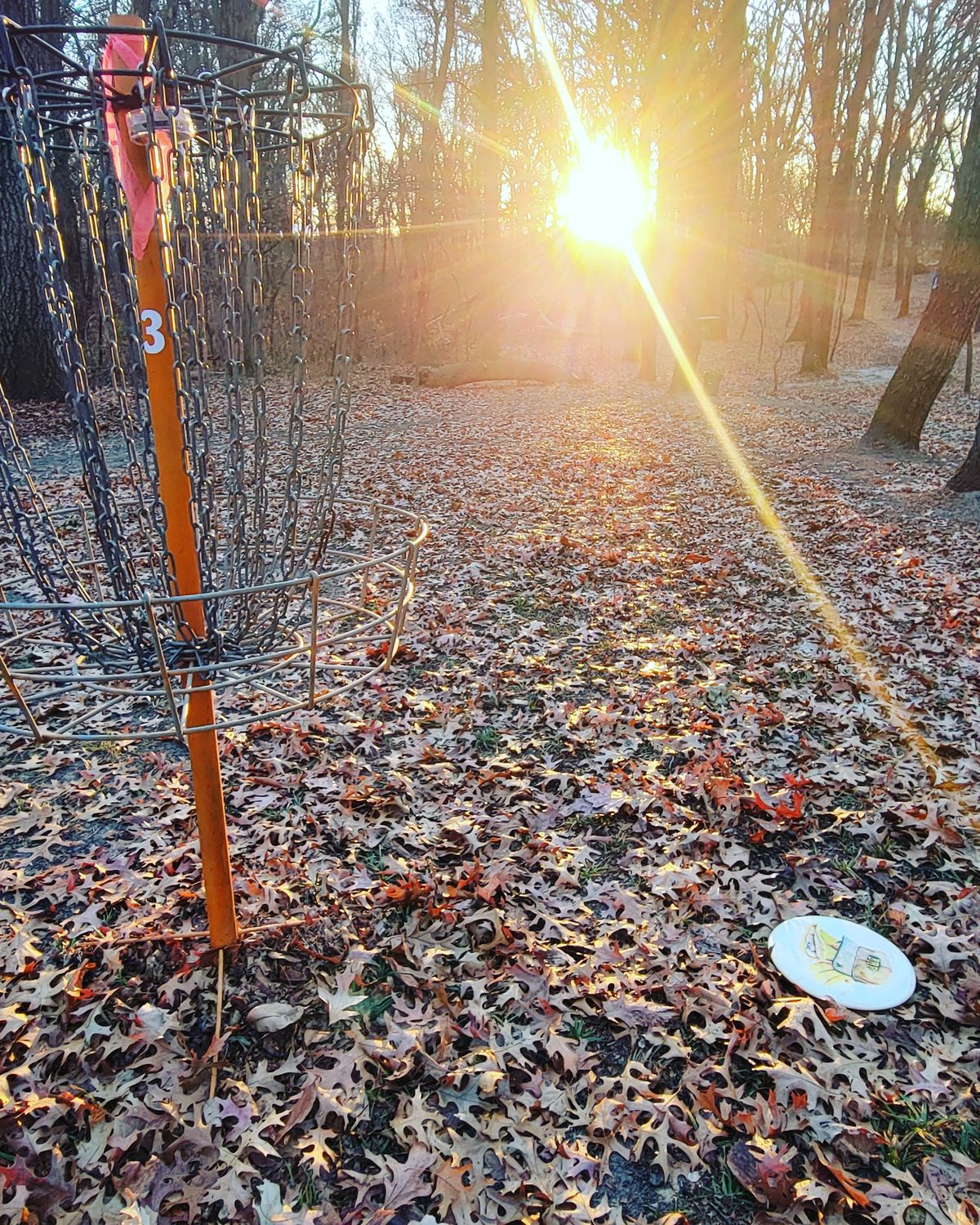 Basket 3, looking back to tee pad.