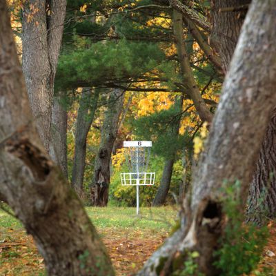 Hole 6 Shorts (Mando between V-tree)