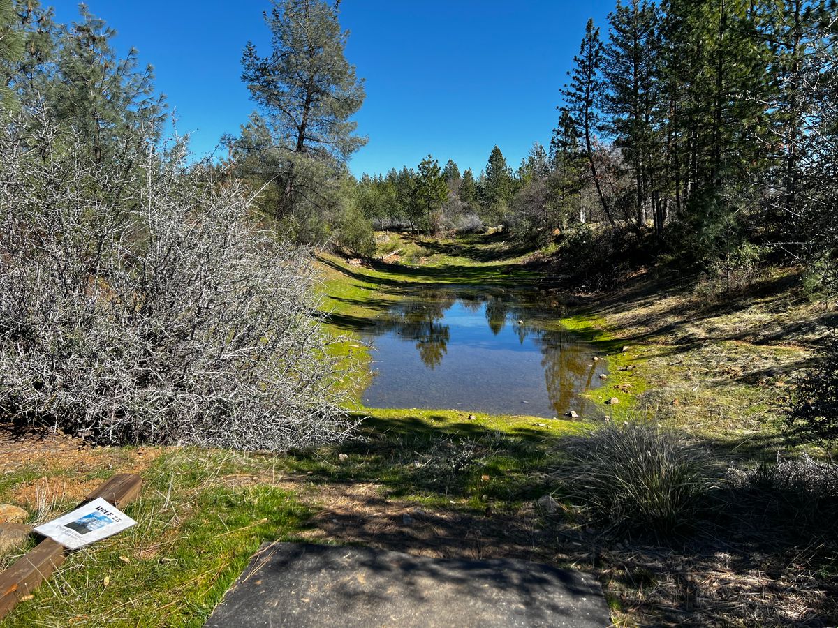 Hole 25. Good for your straight shooting disc