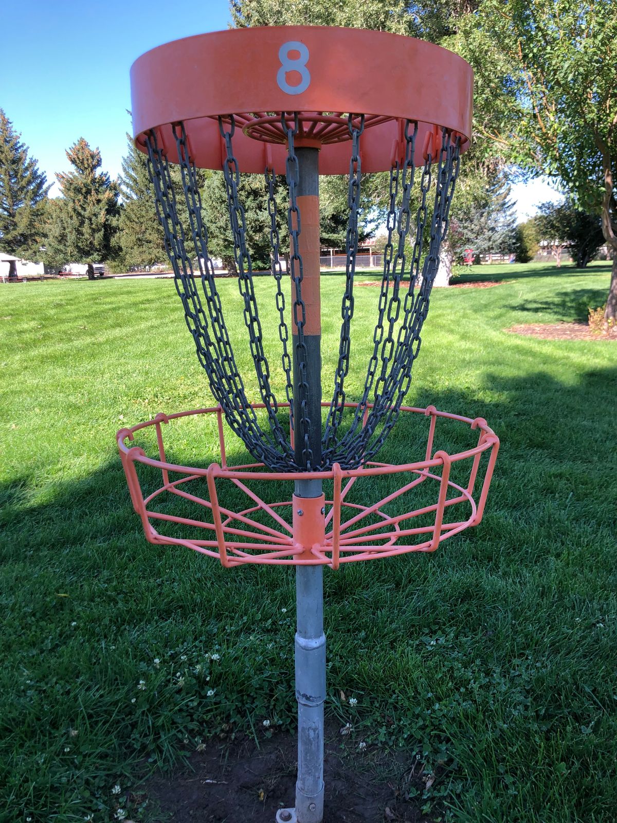 Hole 8 basket