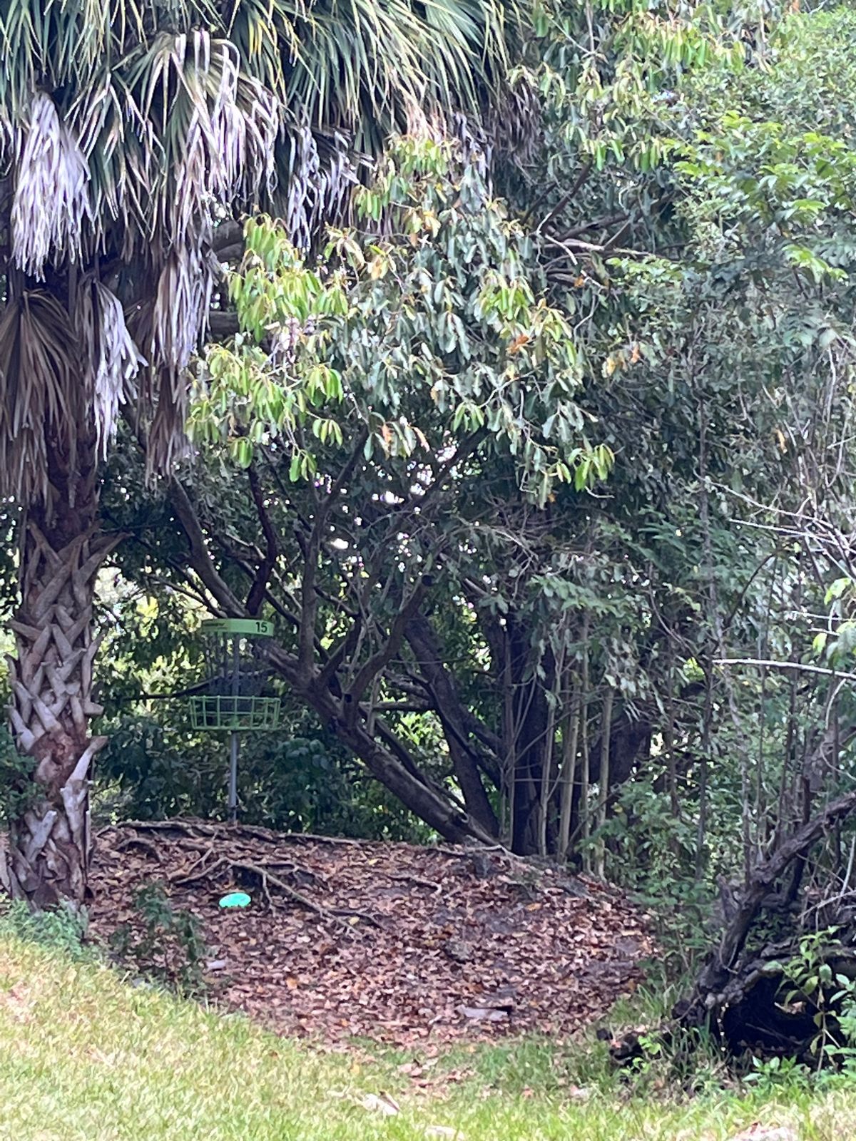 hole 15 elevated