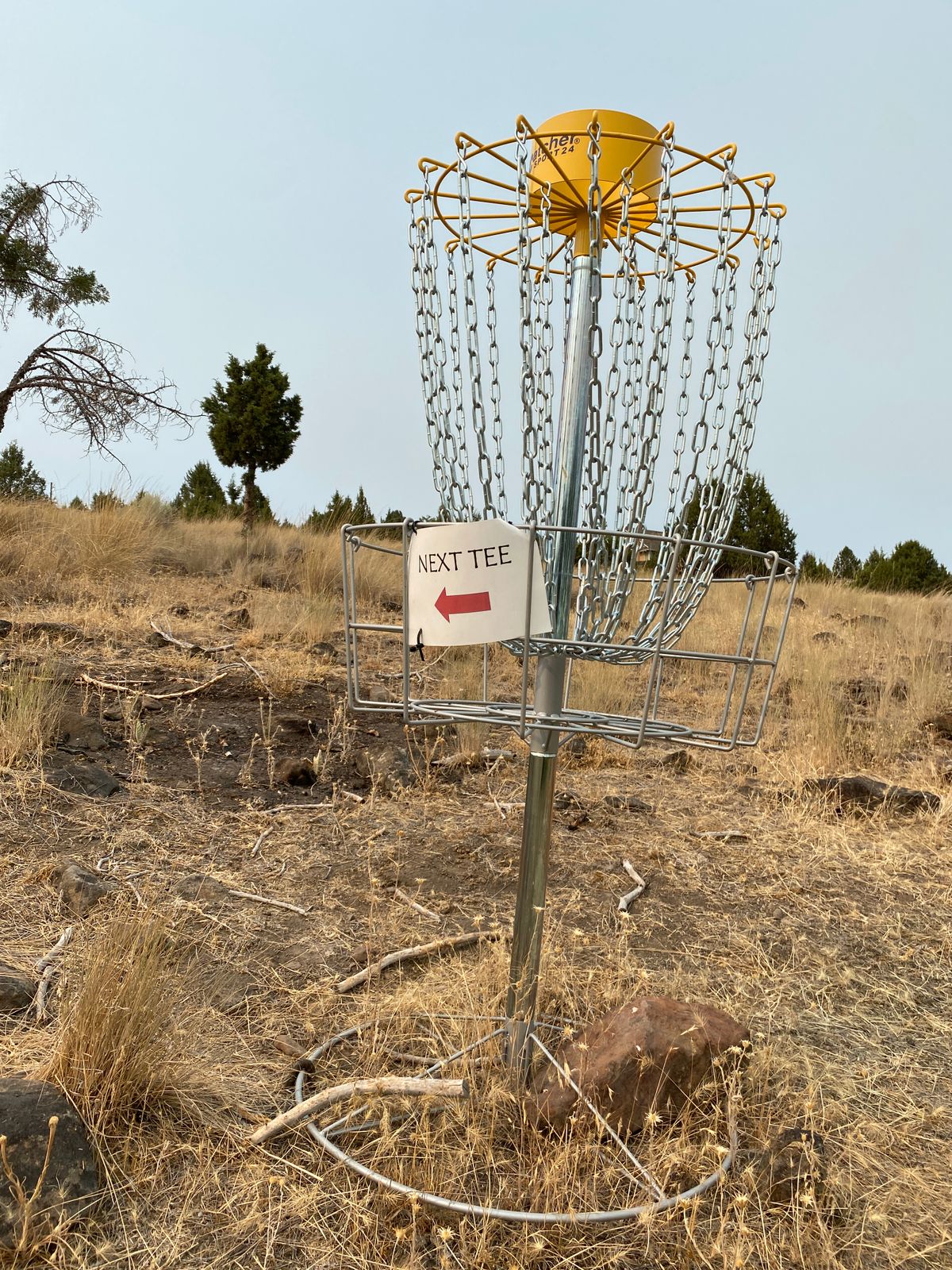 Basket 3. Temporary laminated next tee signs on most baskets. Temp install? Assume will be leveled.
