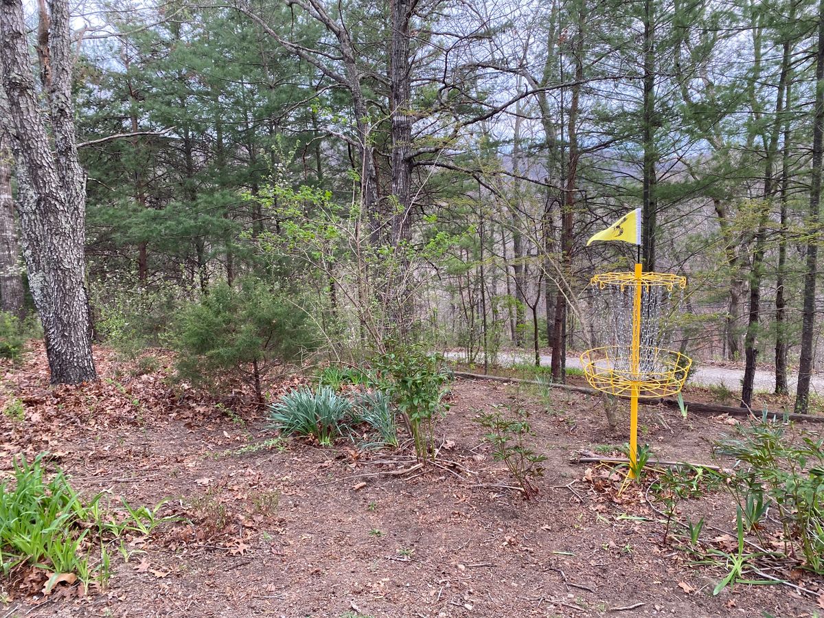 Original back 9 / Roger Wolfe