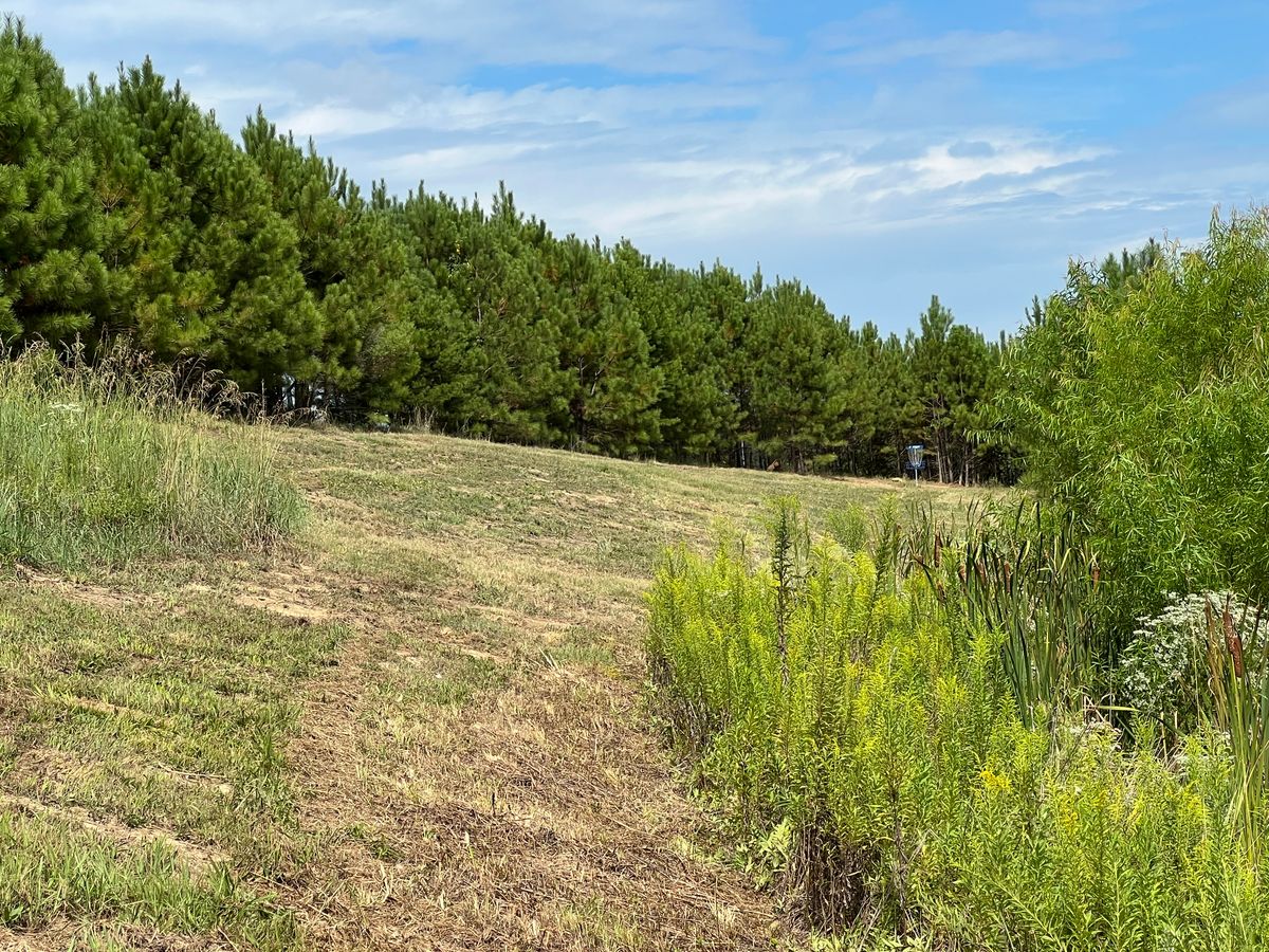 Hole 18 Fairway