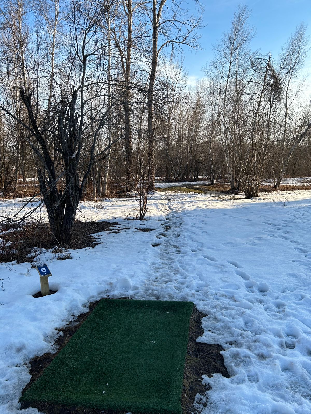New Hole Five, old hole seven.