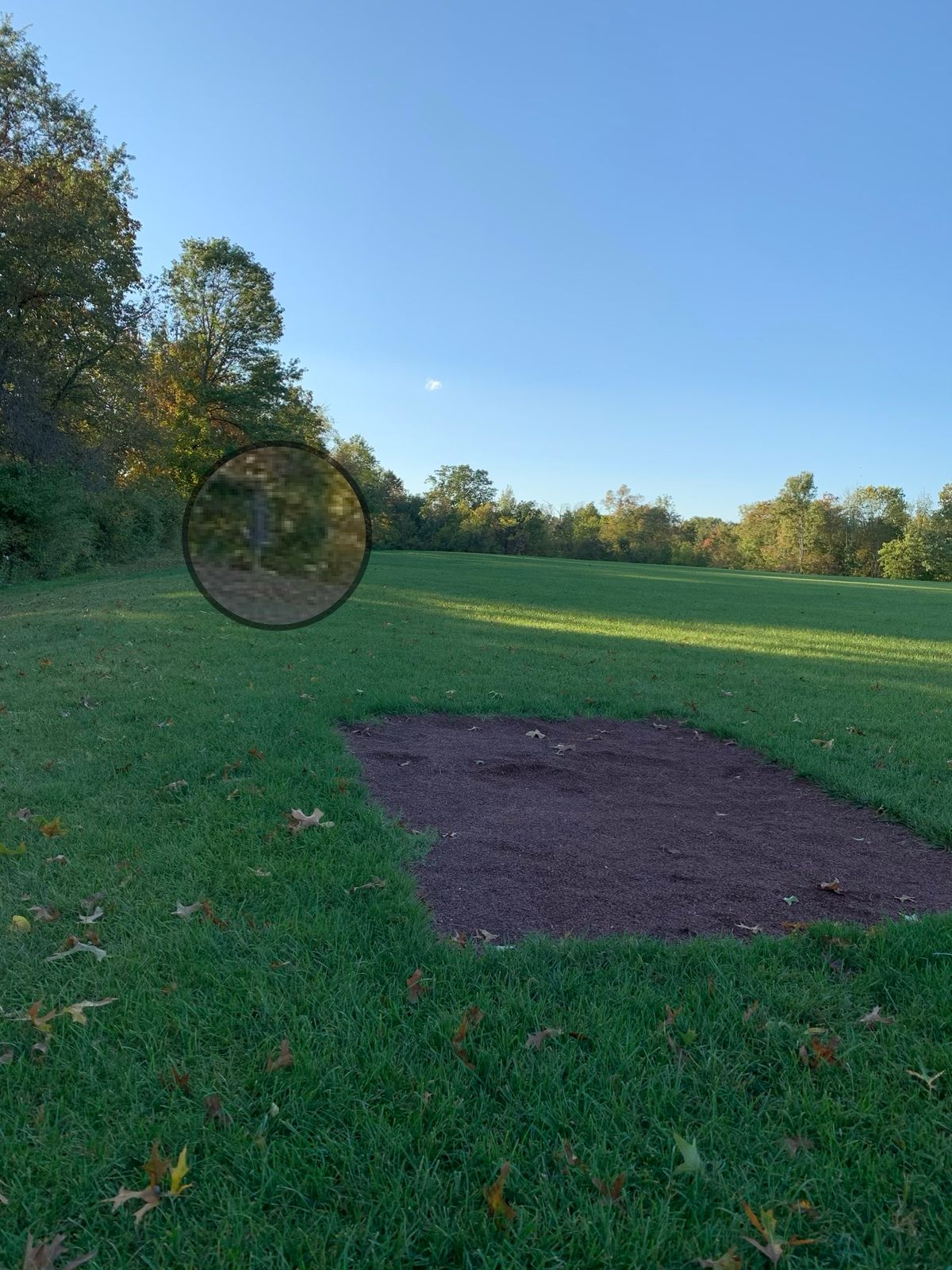 Tee box #3