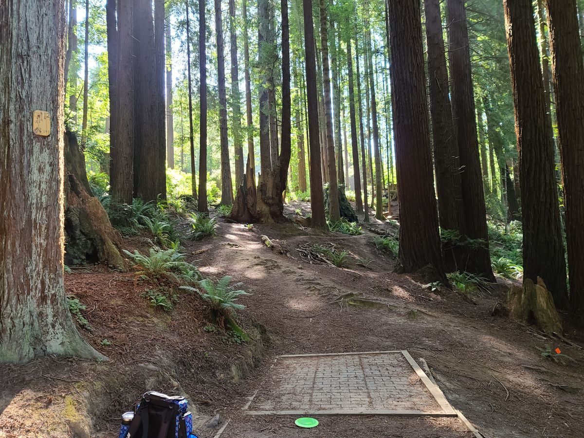 Hole 12