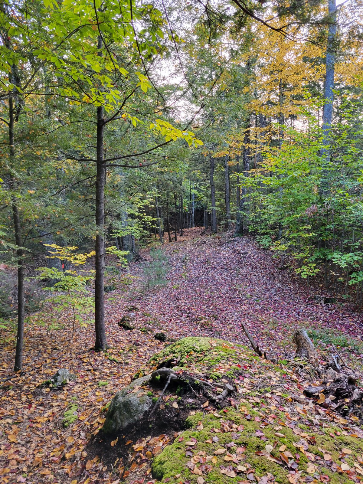 Hole 10 from the tee.