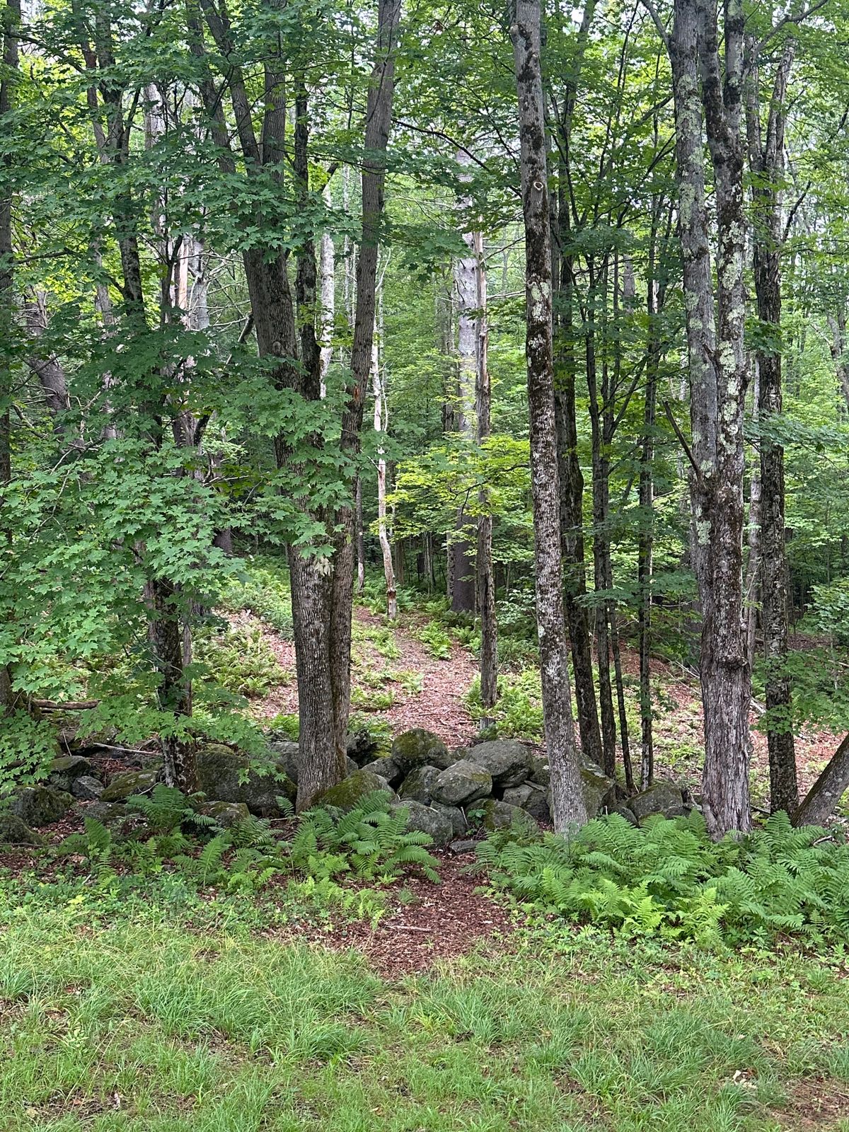 Look from 6’s tee pad