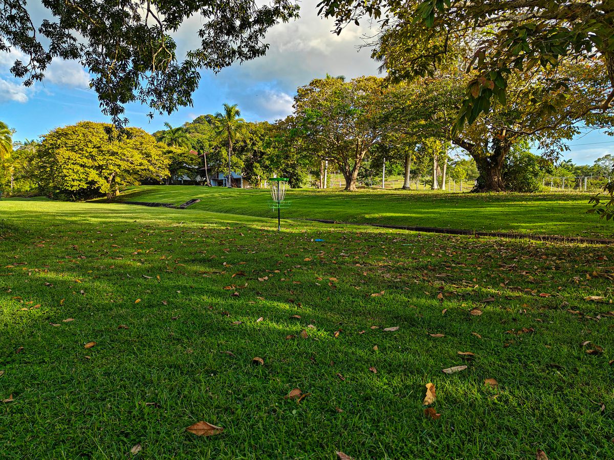 Target at hole 1
