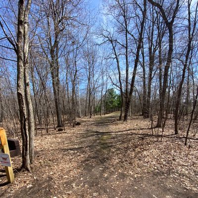 Hole 4 tee