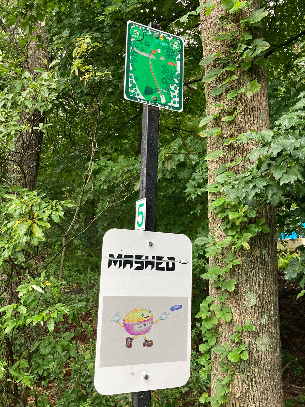 Hole 5. Alt is deep in woods past regular basket.