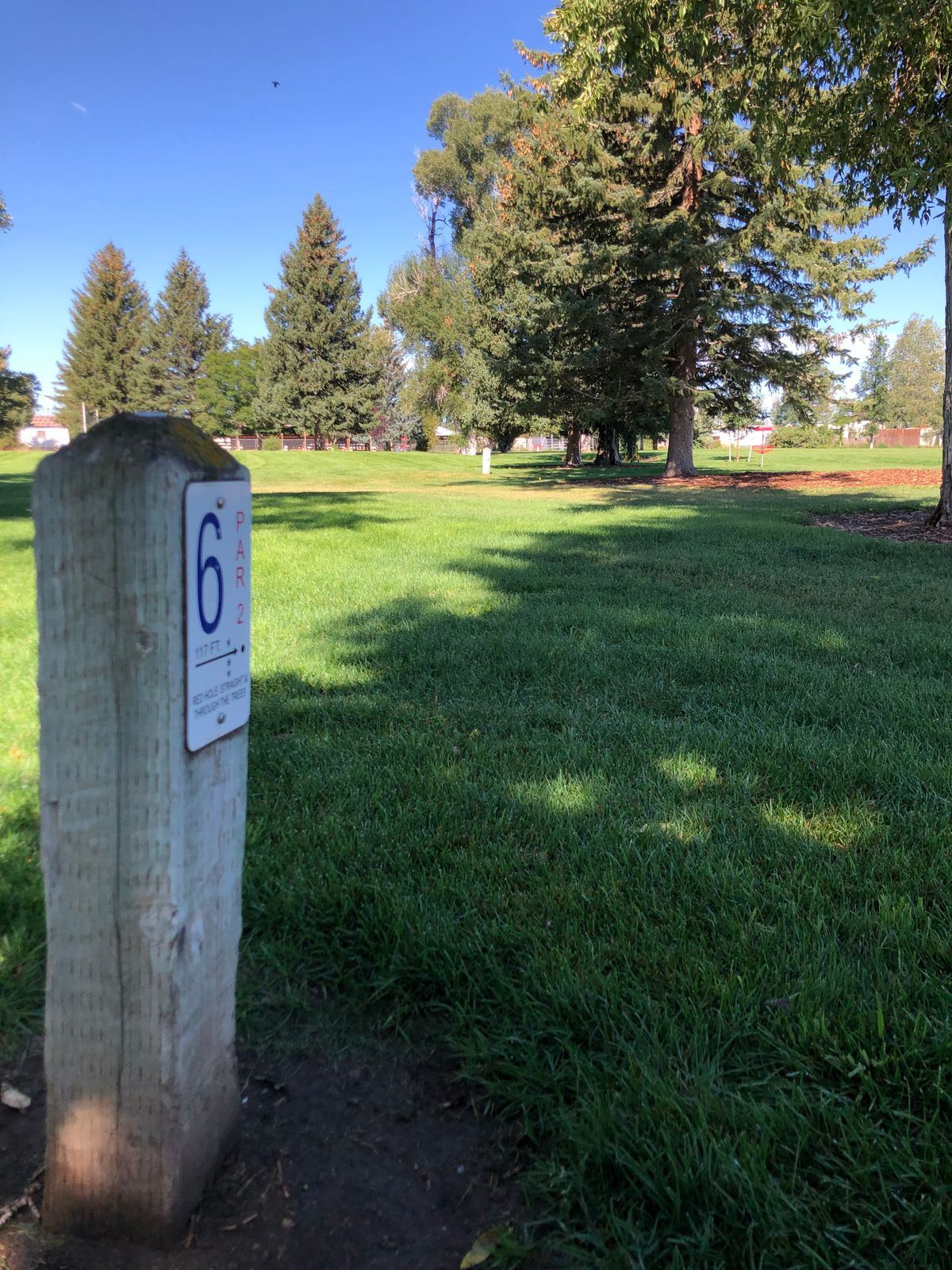 Hole 6 tee pad