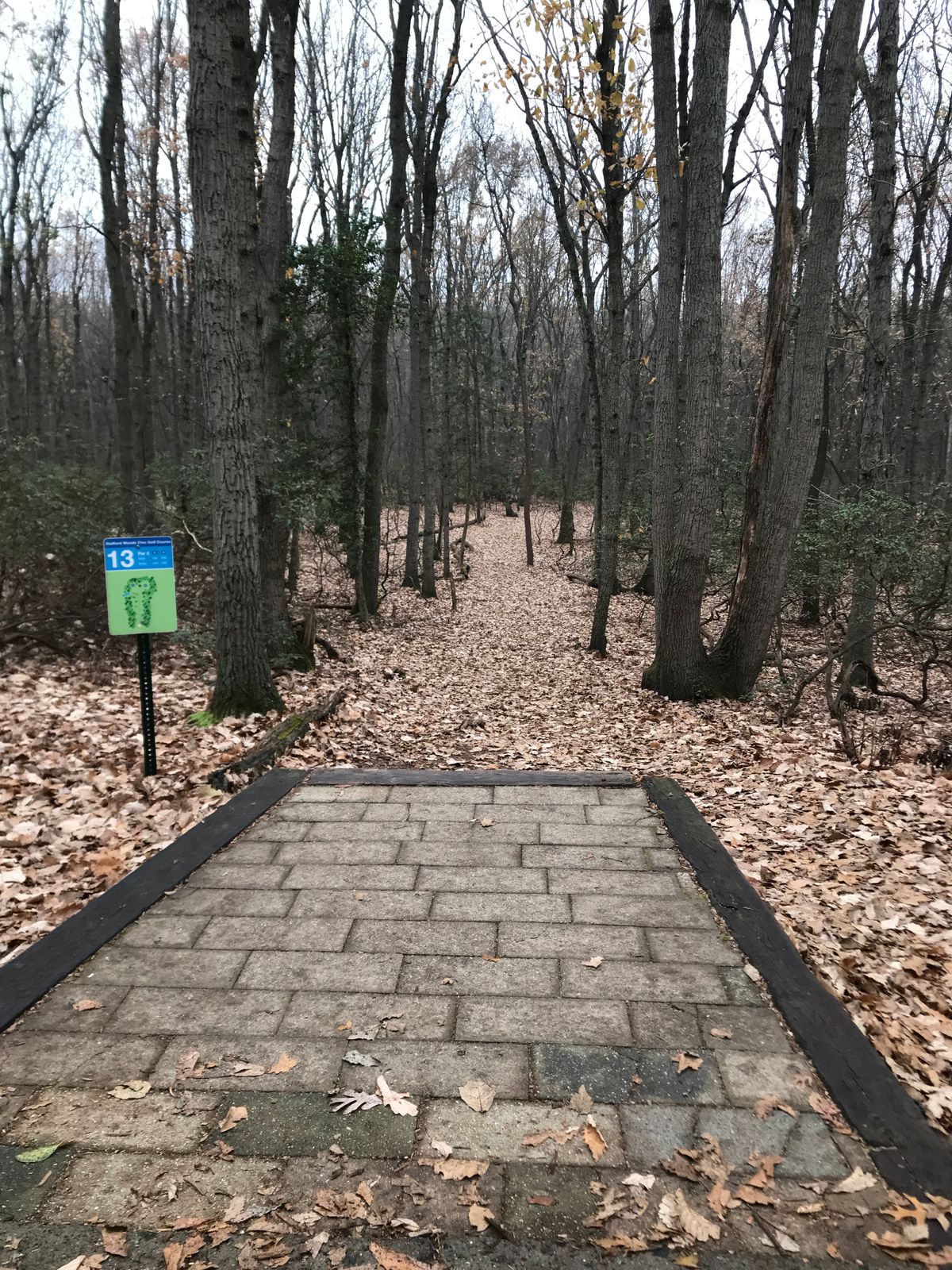Hole 13 long tee