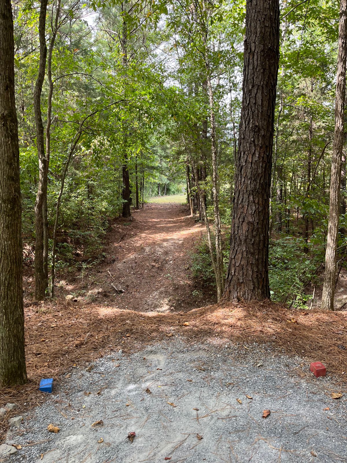 Hole 11: blue/red tee