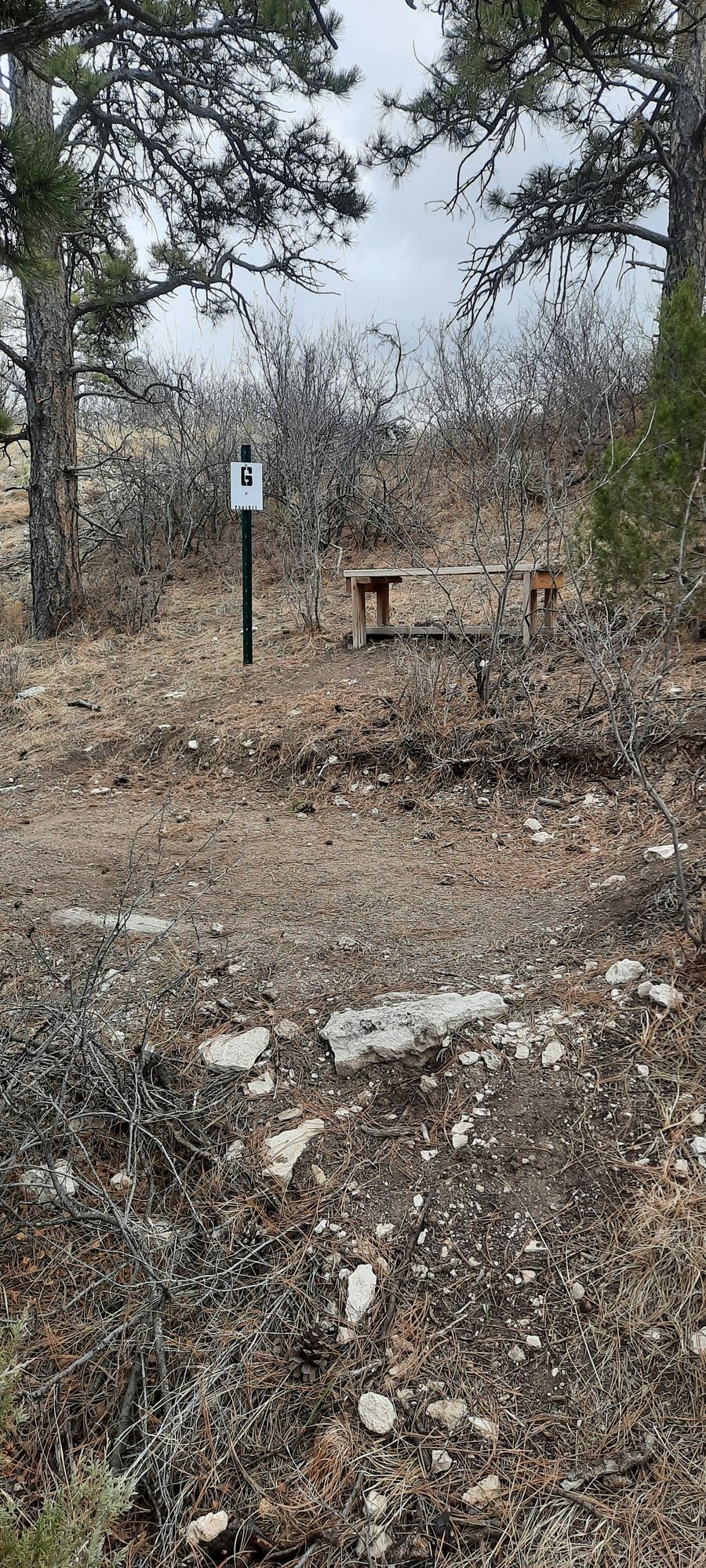 Hole 6 tee
