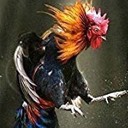 User avatar image