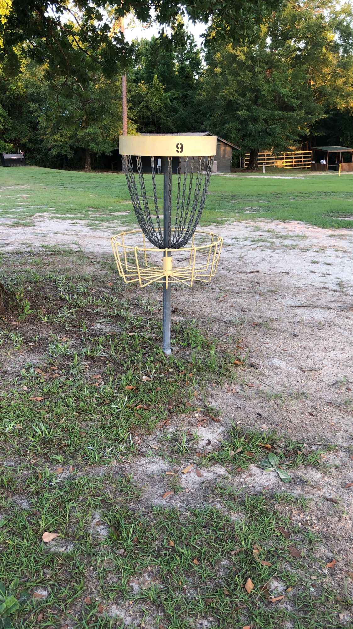 Basket