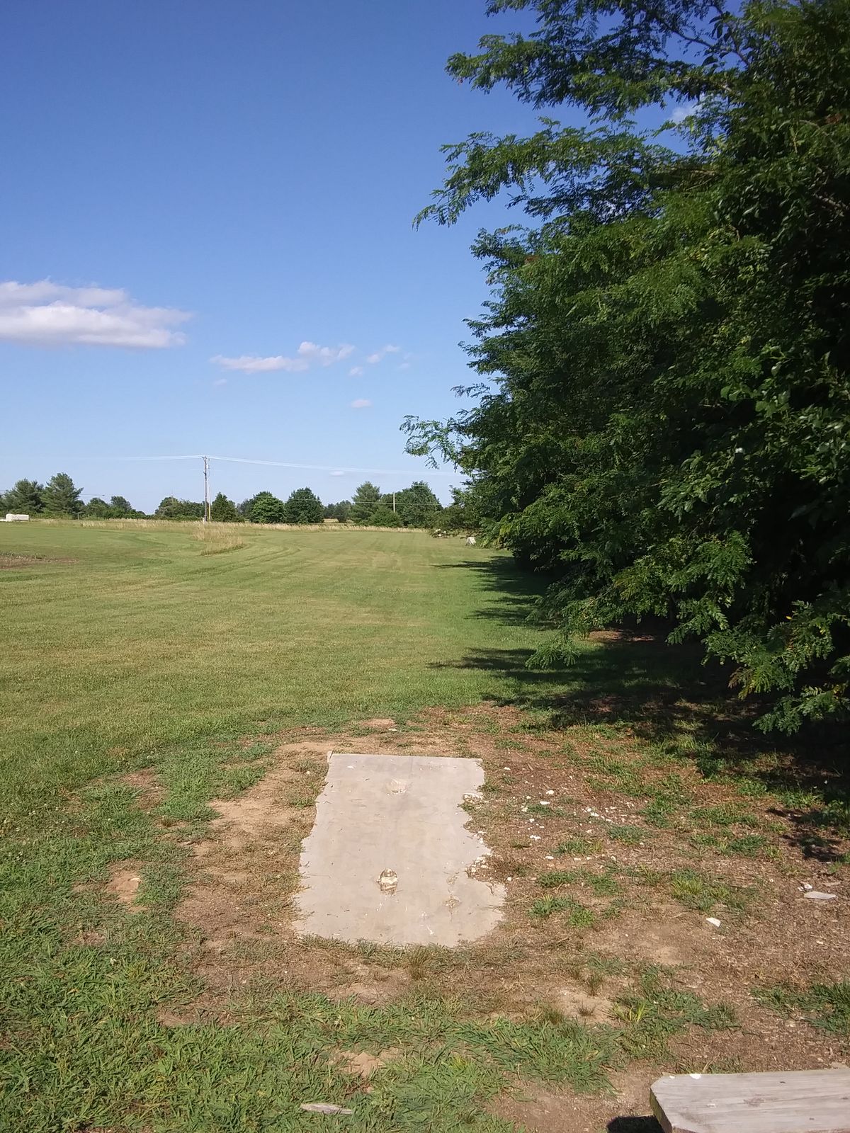 Tee 12