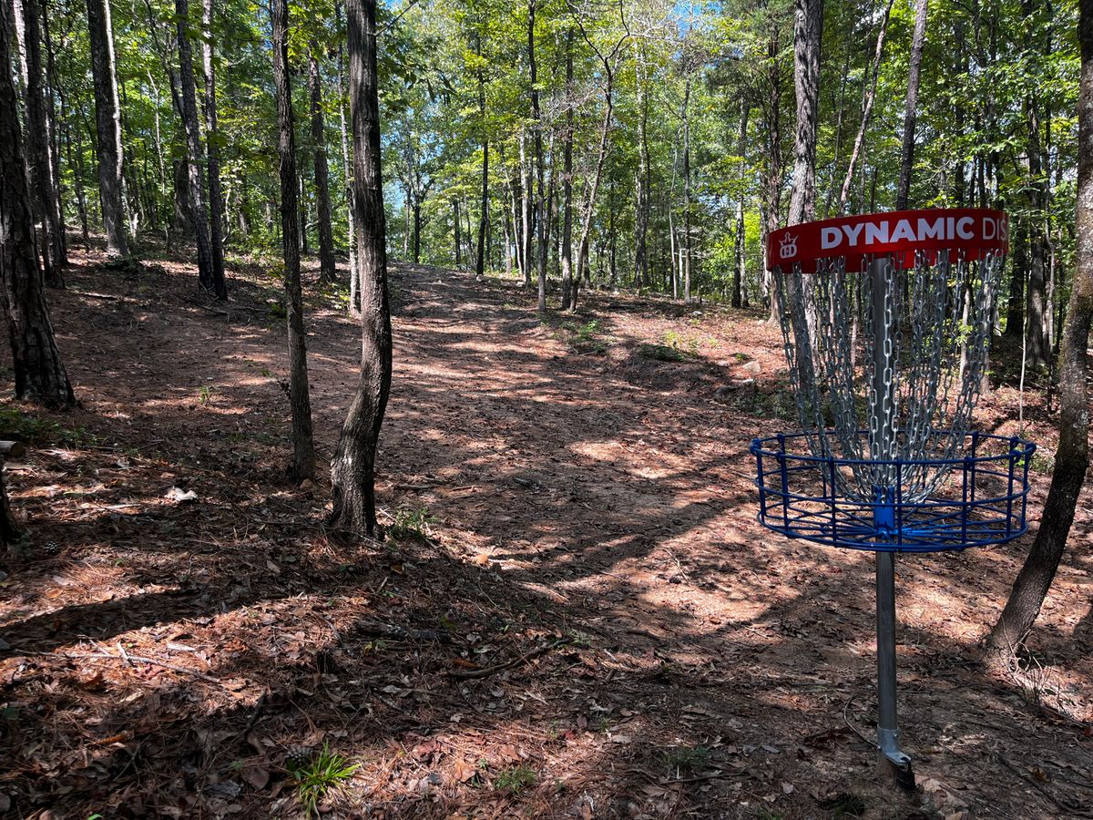 Hole 14 basket