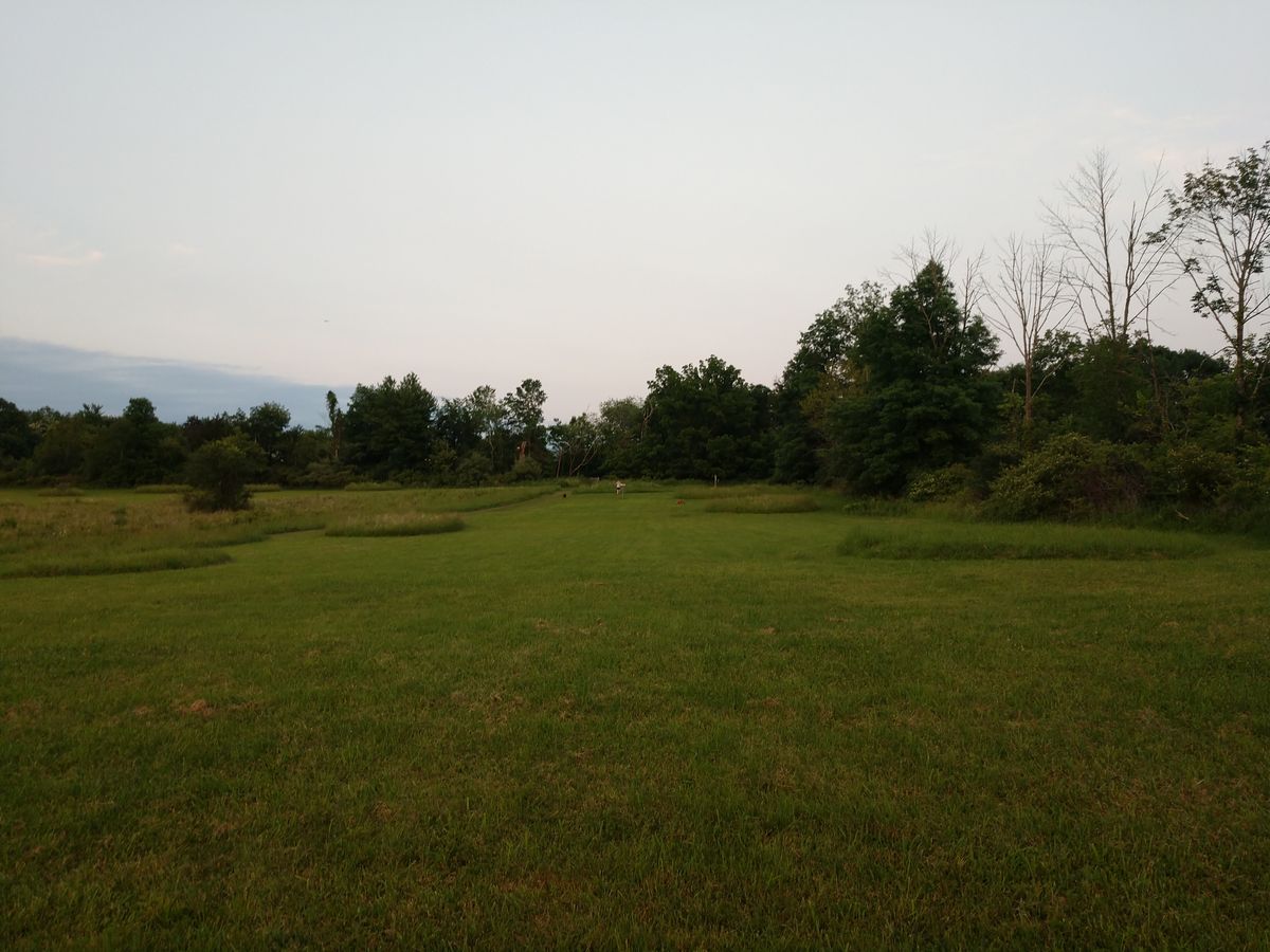 Hole 16 fairway after the bushes center from tee