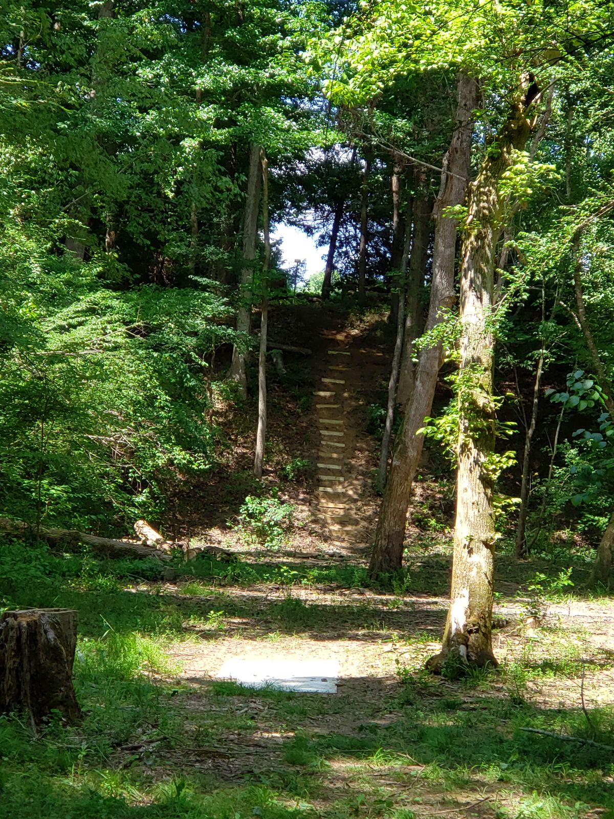 Hole 14's fairway.