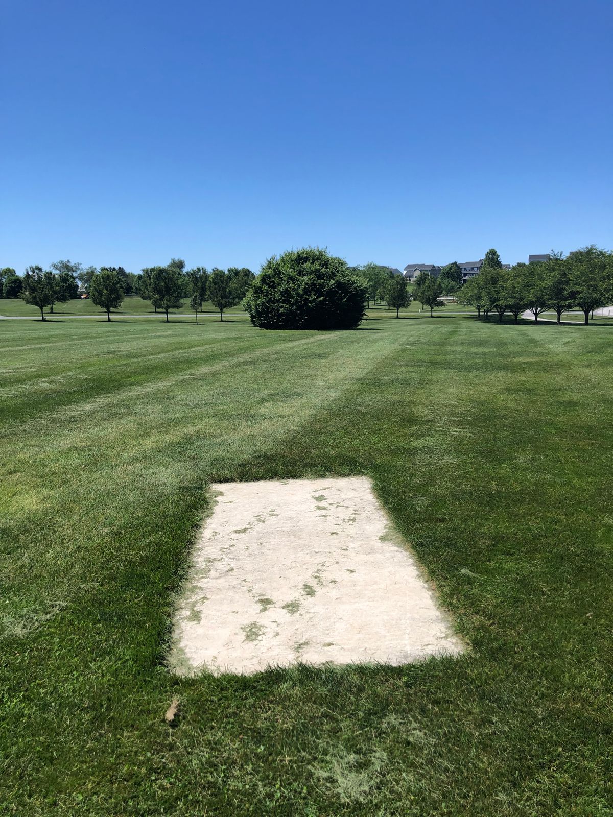 Hole 4