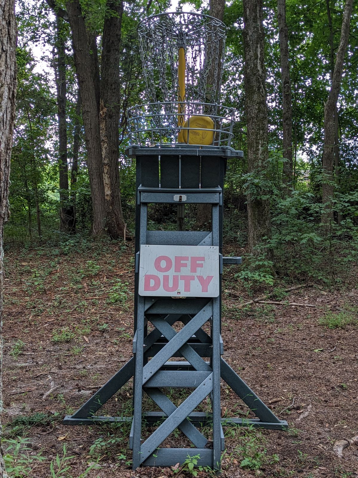 Lifeguard tower off to the left of 18's basket.