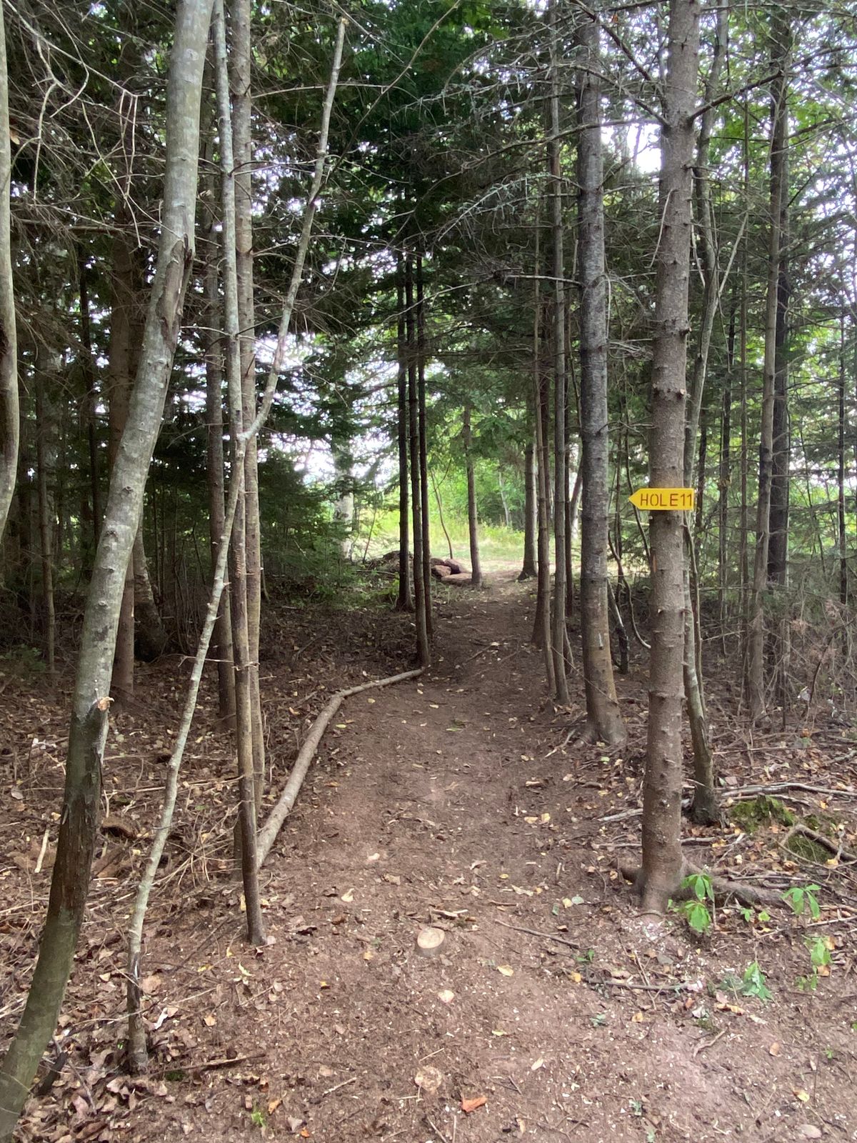 A sign directing players from hole 10 to hole 11.