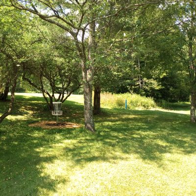 Hole 6/15 green. Guardians abound.