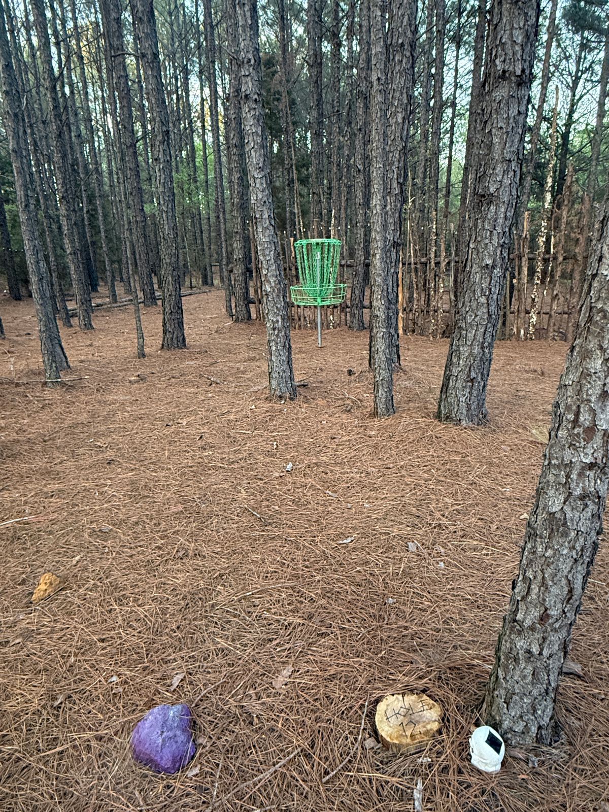 Hole 12 - Purple