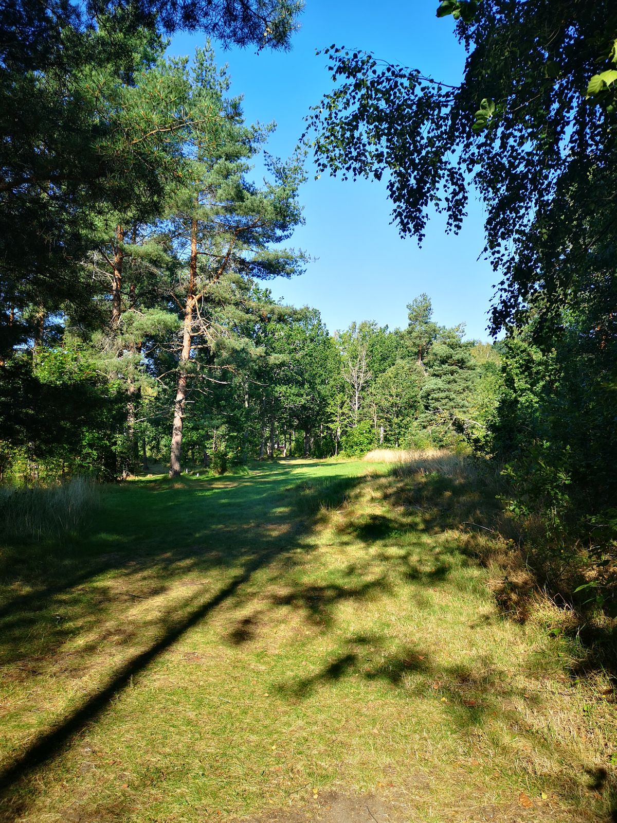 Tee 13