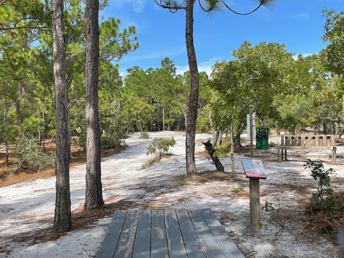 Hole 13